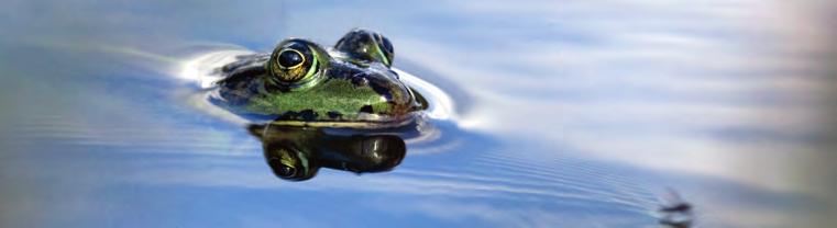 We willen in 2009 ook meer weten over de beleving van specifieke plekken in de polder en of deze beleving verandert onder invloed van de herinrichting.