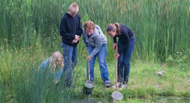 In het boekje Boeren voor Natuur in de polder van Biesland (2004) zijn deze maatregelen uitvoerig beschreven (hoewel de inzichten inmiddels wel wat zijn veranderd).