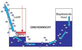 Dit is een langdurig proces, terwijl snelheid juist geboden is.