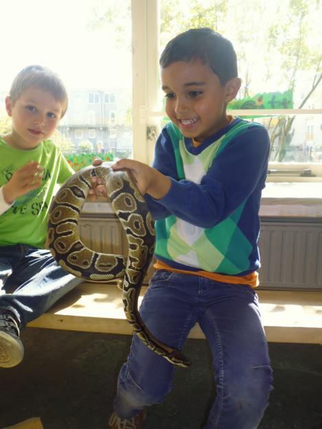 Zij hadden verschillende reptielen meegenomen, waaronder een paar echte slangen.