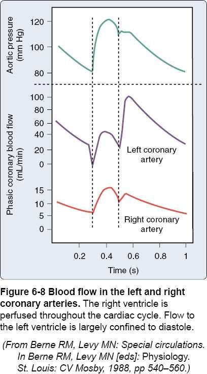Li-coronair: vnl diastole flow CPP = DAP - DLiVeP Re-coronair: bifasische flow CPP = DAP DReVeP en CPP = SAP SReVeP (SPAP) Pulmonale Hypertensie PHT: de re-coronair perfusie evolueert naar een model