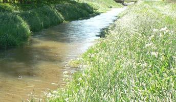 Omklappen van natuur Procedures aanpassen om kansen te pakken, en hoe natuur het meeste rendement heeft via een meer-sporen-aanpak Foto Waterschap Limburg Korte introductie Het concept omklappen van