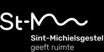 Samenwerking met andere gemeenten Samenwerken met St. Michielsgestel, zodat we efficiënter omgaan met de financiële middelen.