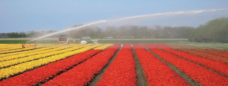 grondwater, landbouw, natuur) Verzilting