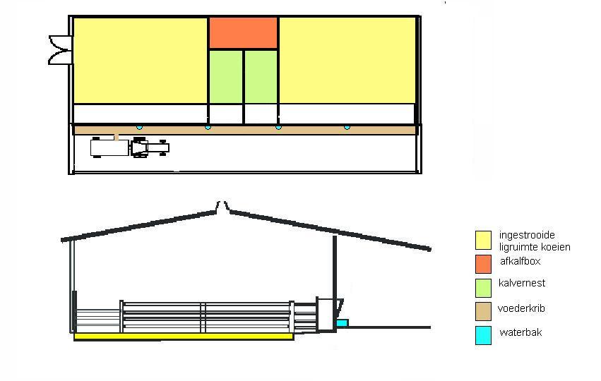 Een meer gebruikelijke stalindeling is deze waarbij de ligruimte en de loop-, voederruimte in één multifunctionele ruimte verenigd zijn. Dit is te zien in figuur 35. Figuur 35.