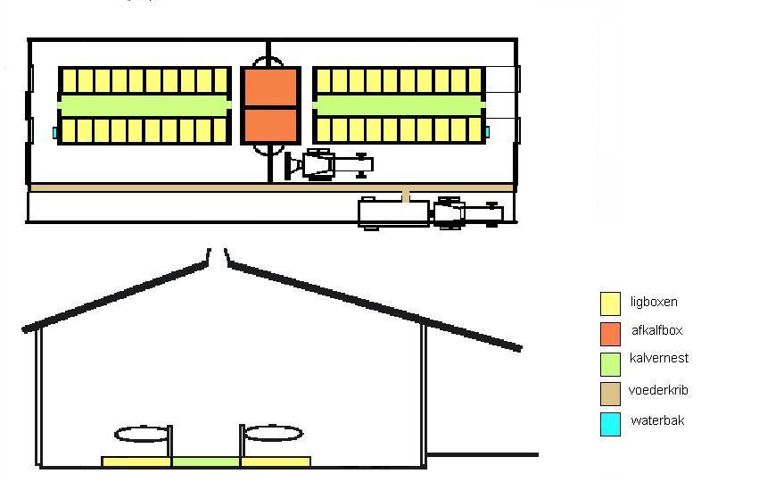 Figuur 37 toont een mogelijke uitvoering waarbij de kalvernesten zich tussen de rijen ligboxen bevinden. De ligboxen zijn 2,3m à 2,5m lang.