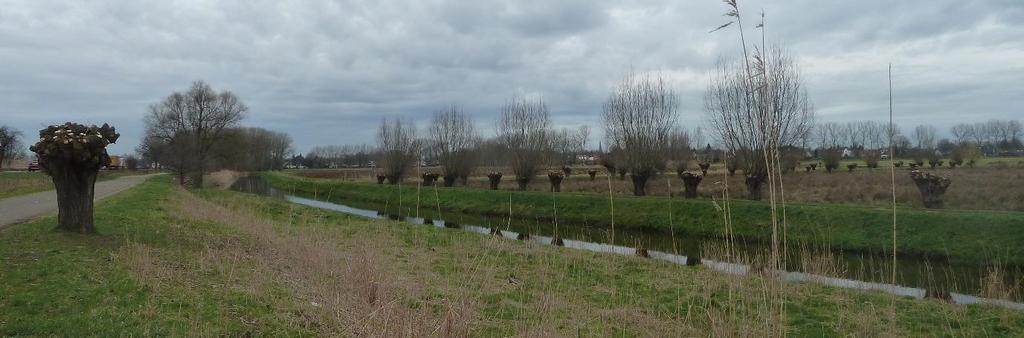 Foto 5-2 Uitzicht nabij Doornhoek, met Populierenbos en Erfbeplanting