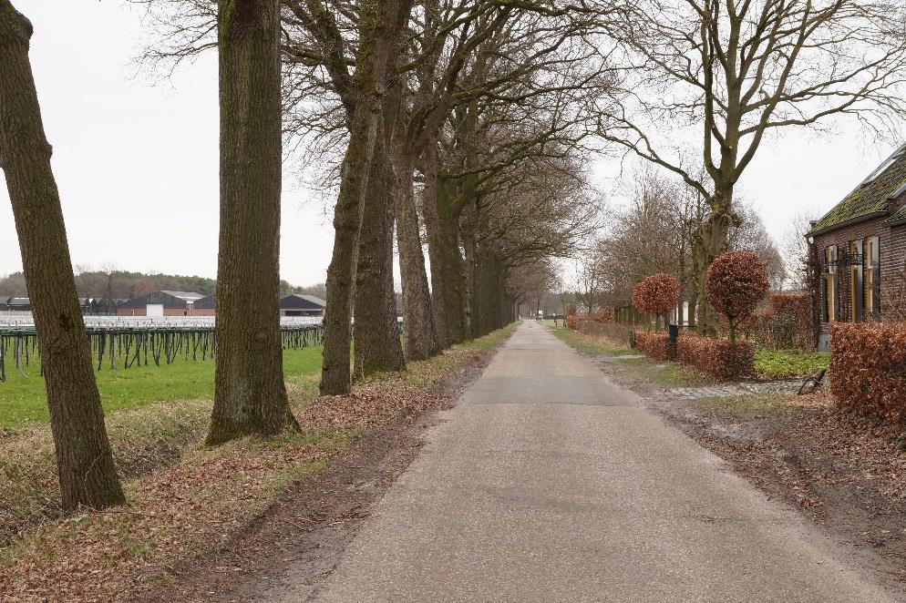 Kenmerkend voor het landschap zijn het contrast tussen het open beekdal, en de omringende besloten dekzandruggen met daarop de oudere dorpen en esgronden.