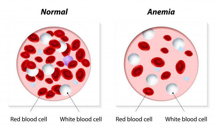 Renale anemie 1 1. Aangepast Fig 6.