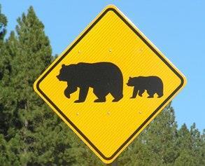 Valkuilen en beren op de weg, hoe gaat u hiermee om als CISO?