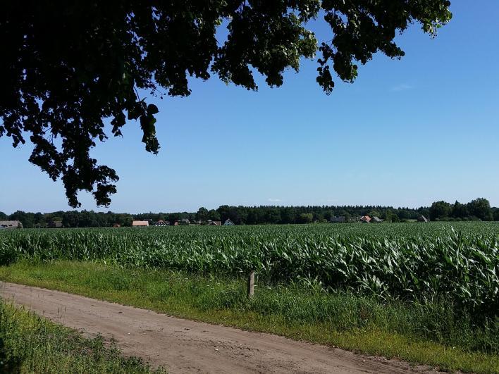 4 Joodse begraafplaats Joodse begraafplaats Boven op de es ligt, sinds 1840, de Joodse begraafplaats.