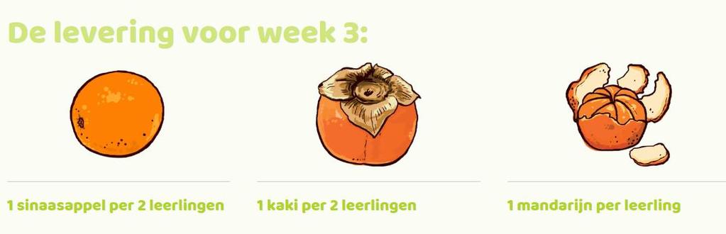 Op de dagen van het schoolfruit hoeft u uw kind geen fruit mee te geven, maar u mag wel een bakje/vorkje meegeven.