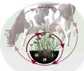213 Nick van Eekeren Kringloop op een melkveebedrijf 1.