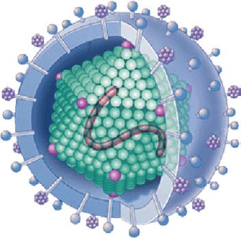 HIV-behandelaren 10 april 2018 Utrecht