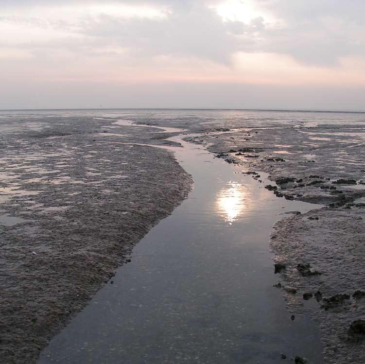 24 25 behouden waarden en kenmerken van de Waddenzee, dienen aan de hoofddoelstelling van deze pkb te worden getoetst.