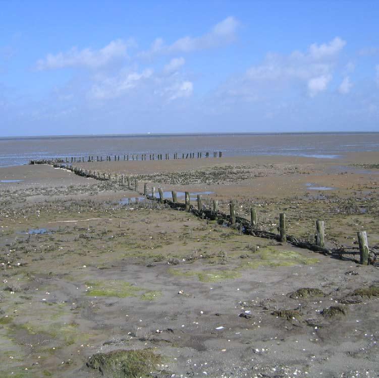 0 0 1. Aard en kader van de nota 1.1 Aard en werkingssfeer van de pkb Deze planologische kernbeslissing (pkb) bevat de hoofdlijnen van het rijksbeleid voor de Waddenzee.