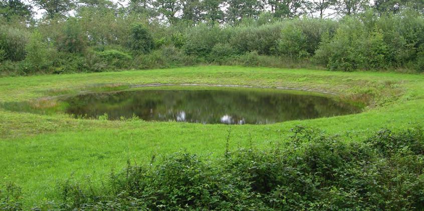 DE OPTIMALE LEEFOMGEVING Een ideale leefomgeving voor de kamsalamander is een kleinschalig cultuurlandschap met houtwallen, bosjes, struwelen en houtsingels, waarin ook geschikte poelen te vinden