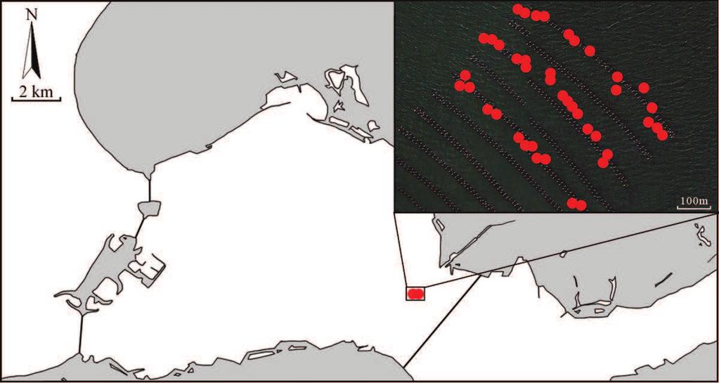 GiMaRIS rapport 2017_37 Fig. 1. Monsterplekken van de SASI bij de MZI s bij de Vuilbaard in de Oosterschelde in de zomer van 2017. Locatie Coördinaten 1 N 51.623040 E 3.875300 2 N 51.623033 E 3.