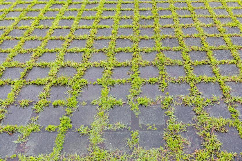 LES 10 - BUITENOPDRACHT - WERKBLAD 7 Natuurschatten... NU NAAR BUITEN!