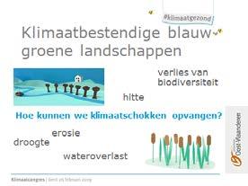 Tot slot willen we werk maken van klimaatbestendige blauw-groene landschappen. De open ruimte staat erg onder druk. Net nu we deze ruimte hard nodig hebben om klimaatschokken op te vangen.