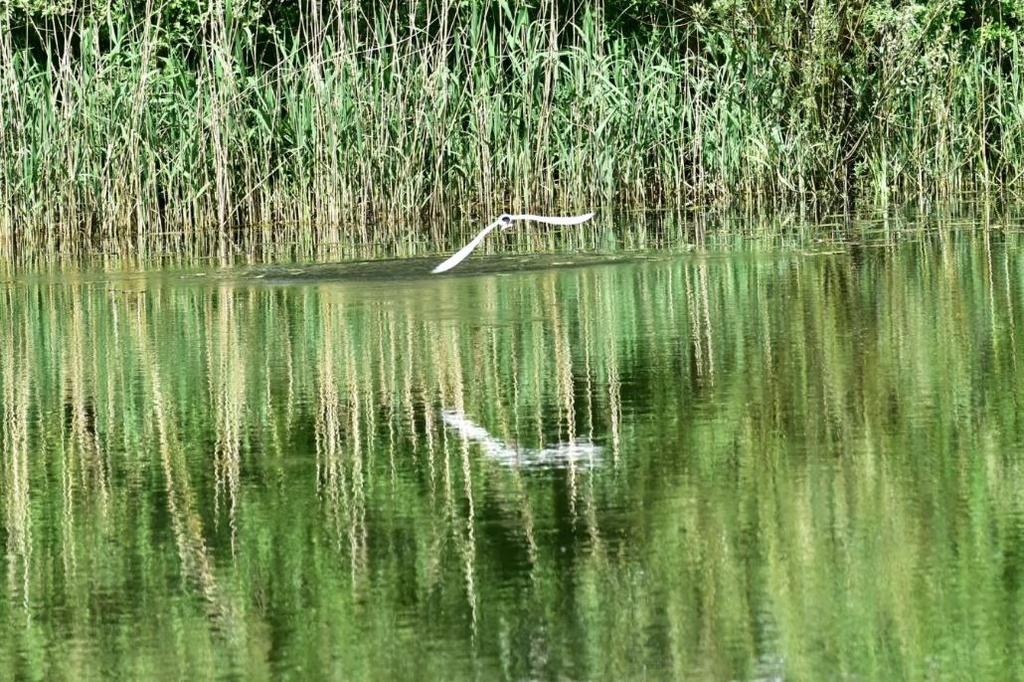 Seizoen in beeld De groep in De Zeeg wist een