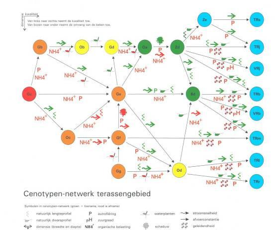 Figuur 6: Cenotypen-netwerk terrasbeken; schema van de relaties tussen de stuurparameters en de waterstreefbeelden (cenotypen).