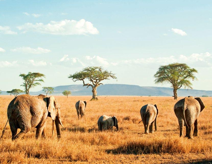 Tanzania en Zanzibar