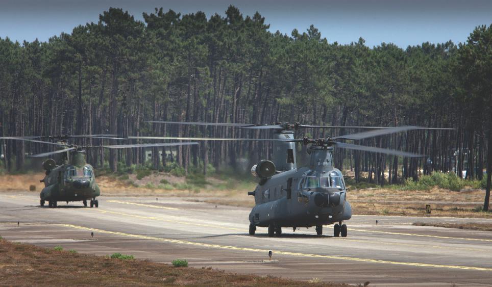 Om deze afgeschreven exemplaren te vervangen en de grote vraag naar zware transporthelikopters in te vullen, werd enige jaren geleden besloten zes nieuwe CH-47F s D-890 tot en met D-895 - te kopen.