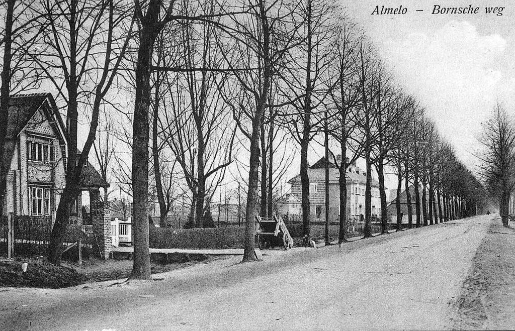 3 De Bornschestraat vóórdat de Violierstraat en Berkelstraat bestonden Foto gezien vanaf het centrum richting Borne Het rijtje huizen in