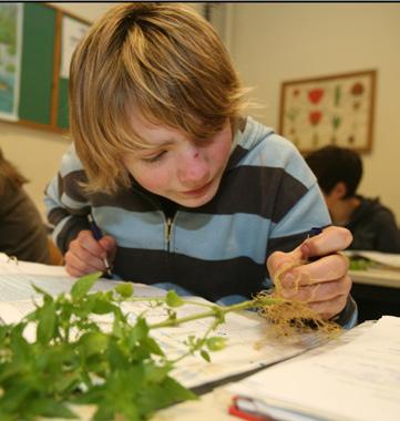 Een open school Een school op maat De school heeft een sterk uitgebouwde leerlingbegeleiding. Voor specifieke (leer)problemen zoeken we oplossingen en begeleidende maatregelen.