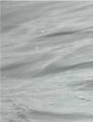 9. Bijlage 1 Grijze zeehond H1364 9.1 Naamgeving Nederlands: Wetenschappelijk: 9.2 Soortgroep Nederlands: Wetenschappelijk: Grijze zeehond Halichoerus grypus Zoogdieren Mammaliaa 9.
