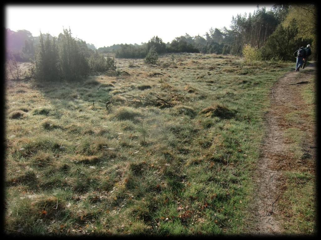 Het landschap is in een ver verleden