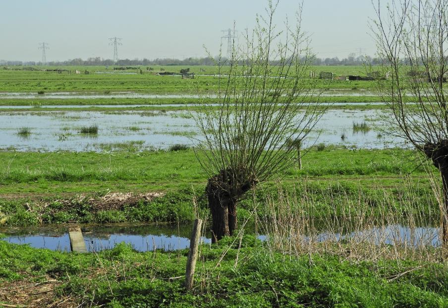 1 januari-26 april, waarnemingen na 26 april staan niet meer in de tabel.