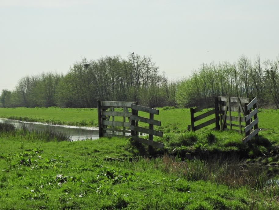 het najaar schapen als nabeweiding (na overleg).