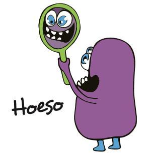 Strategie: Evalueren en reflecteren Naam: Hoeso Hoeso weet hoe hij het gedaan heeft. - Hij controleert zijn antwoorden voor hij deze inlevert.