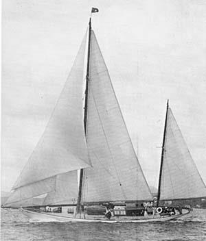 twee masten, genaamd Sint Pieter. Van dit scheepje was Sr. Willem Claessen Roijaerts eigenaar en boekhouder geweest.