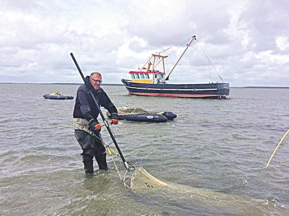 BEDRIJFSREPORTAGE TDLH test binnendijkse kweek van Oosterscheldekreeft Door Peter G.M.