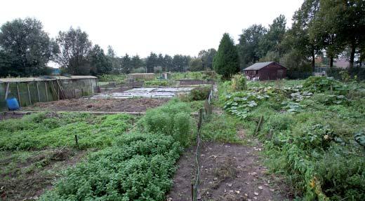 De Dahliatuin Helmond West is nog steeds bijzonder populair. Deze tuin wordt in tegenstelling tot de speeltuin wel verplaatst.