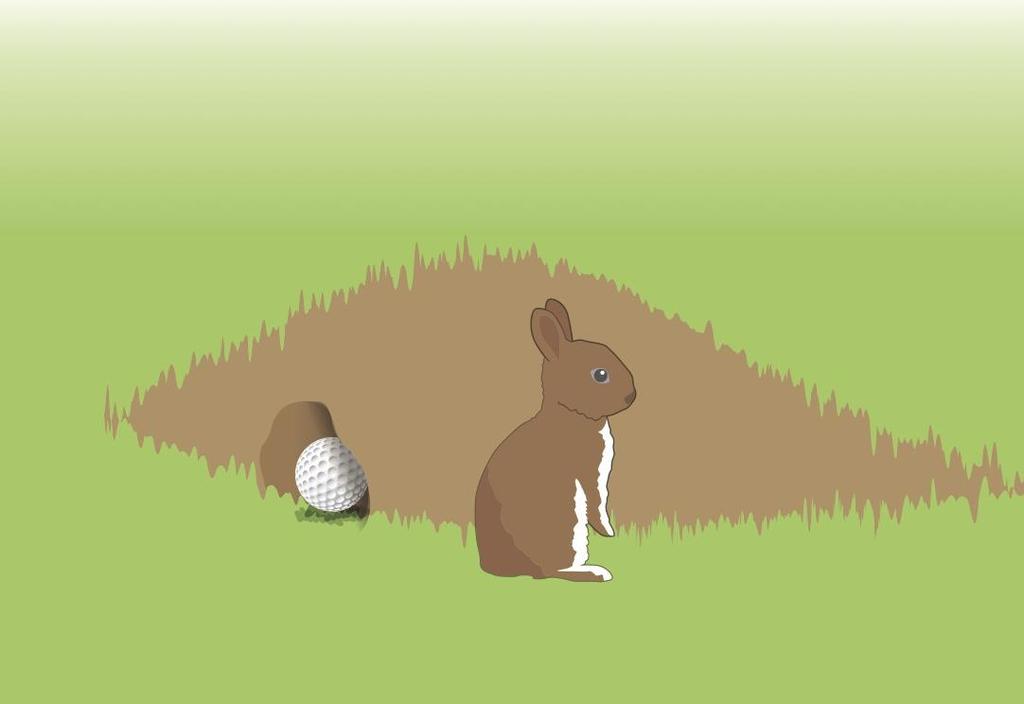 Vraag 10 Vraag 10 Dit konijnenhol ligt in een hindernis. De speler wil de bal niet spelen zoals hij ligt. Wat is juist? A.