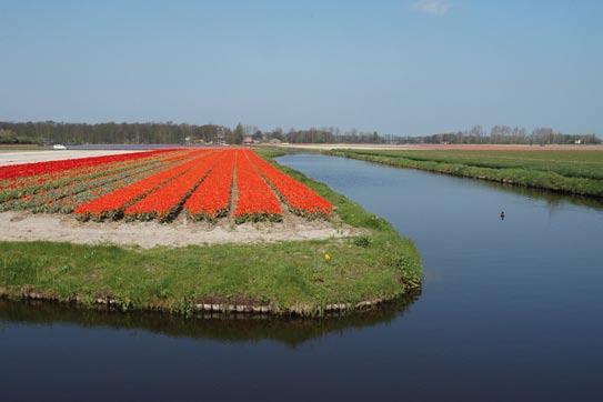 Rijnland vindt geregeld normoverschrijdingen van ontsmettingsmiddelen in het oppervlaktewater. Een belangrijke oorzaak hiervan is dat ontsmet fust onafgedekt staat opgestapeld.