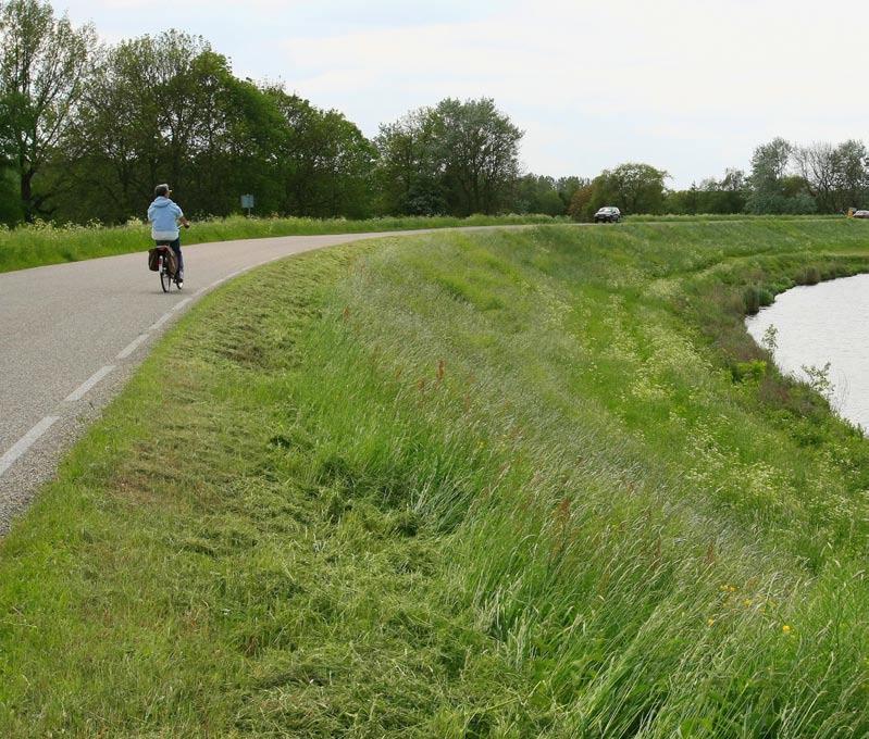 De gemeente Lingewaal op het gedeelte vanaf de A15 tot aan Leerdam, het waterschap vanaf Leerdam tot aan de Lekdijk.