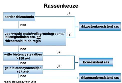 Deze rassen zijn bedoeld voor percelen waar geen problemen te verwachten zijn met rhizoctonia of bietencysteaaltjes; rhizoctonia- en rhizomanieresistent; bietencysteaaltjes- en rhizomanieresistent.