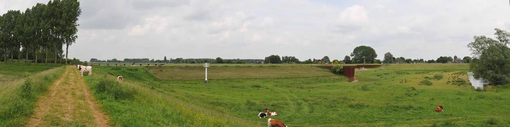 B 4 Regelwerk Pannerden, zomerdijk, 14 juni 2013