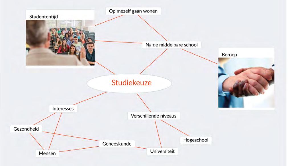 Mijn vertrekpunt Het volgende profiel heb ik gekozen: Vwo - Natuur en Gezondheid In de volgende vakken doe ik eindexamen: Nederlands Biologie Engels Scheikunde Duits Wiskunde A Aardrijkskunde