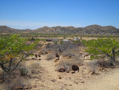 Dag 12: Damaraland, Namibië (ontbijt, lunch) De reis gaat verder langs de kust om een grote kolonie zeehonden te bezoeken bij Cape Cross.