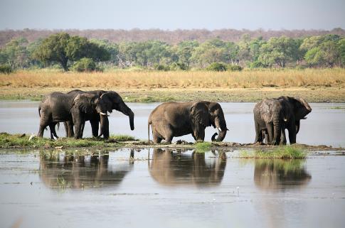 Overnachting in A Zambesi River Lodge of gelijkwaardig. Dag 24: Einde in Victoria Falls (ontbijt) Na het ontbijt is het tijd om afscheid te nemen van de rest van de groep.