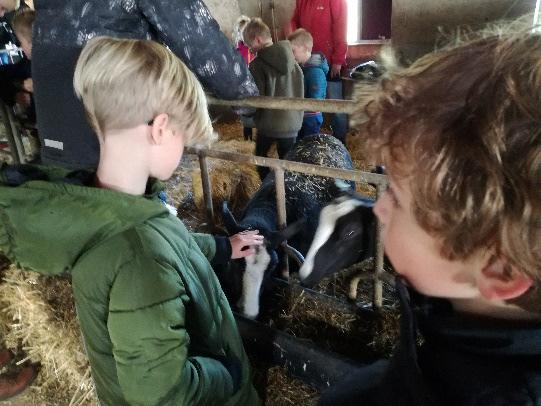 Nieuws uit groep 6, 7 en 8 Buitenlesdag Afgelopen dinsdag had groep 678 een buitenlesdag. De meeste lessen werden buiten gegeven.