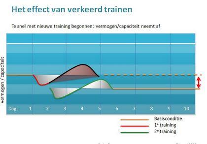 Inleiding Training http://www.thewalkingcompanions.