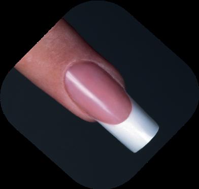 In de module werken we op nailforms en brengen we het pinchen (het met druk in Model brengen van een nagel zonder deze te beschadigen) onder de aandacht met de aangeschafte File&Shape kit.