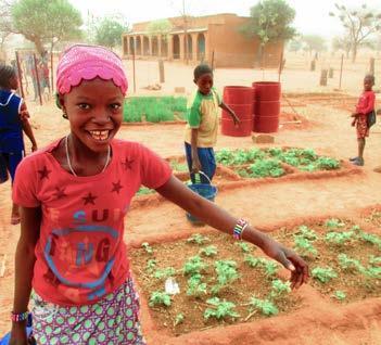 35 Schooltuinen in 2017 Op drie plaatsen is een begin gemaakt met de aanleg van een tuin: in Koundou, Senguenbengou en Sogodouroukoum.